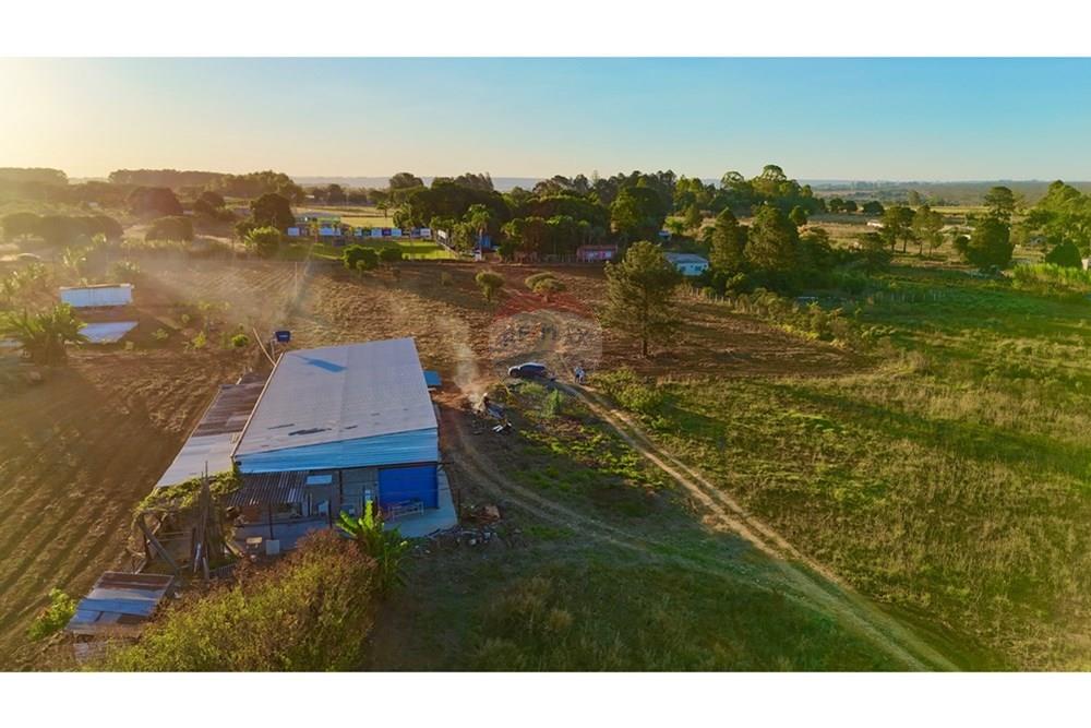 Galpão - Venda - Brazlandia , Distrito Federal - dji_fly_20250703_171748_0042_1751970647421_photo.jpeg - 880351001-197