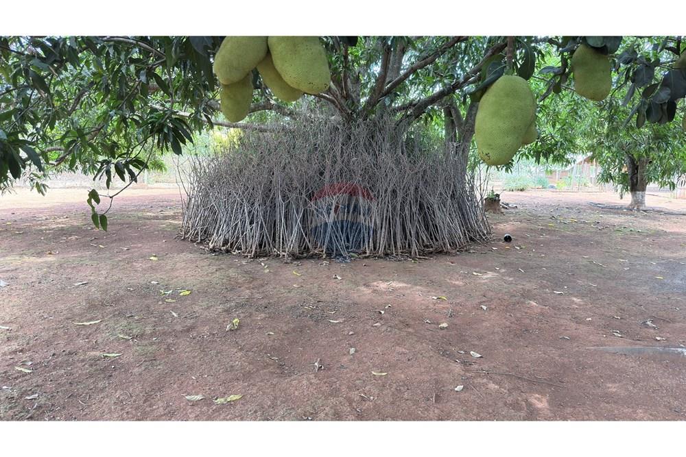 Chácara / Sítio / Fazenda - Venda - Paranoa , Distrito Federal - IMG_1191.jpg - 880341141-3