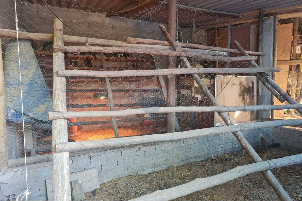 Chácara / Sítio / Fazenda - Venda - Brasília , Distrito Federal - 1003078405.jpg - 880321021-71