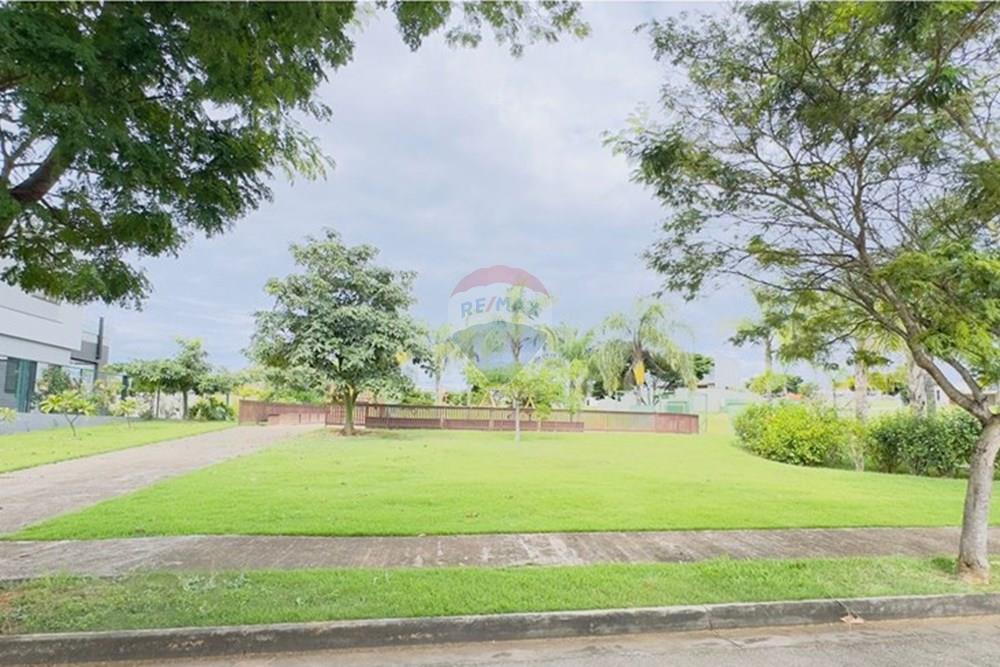 Terreno - Venda - Cidade Ocidental , Goiás - WhatsApp Image 2025-03-04 at 18.46.48 (1).jpeg - Quintal - 880261145-4