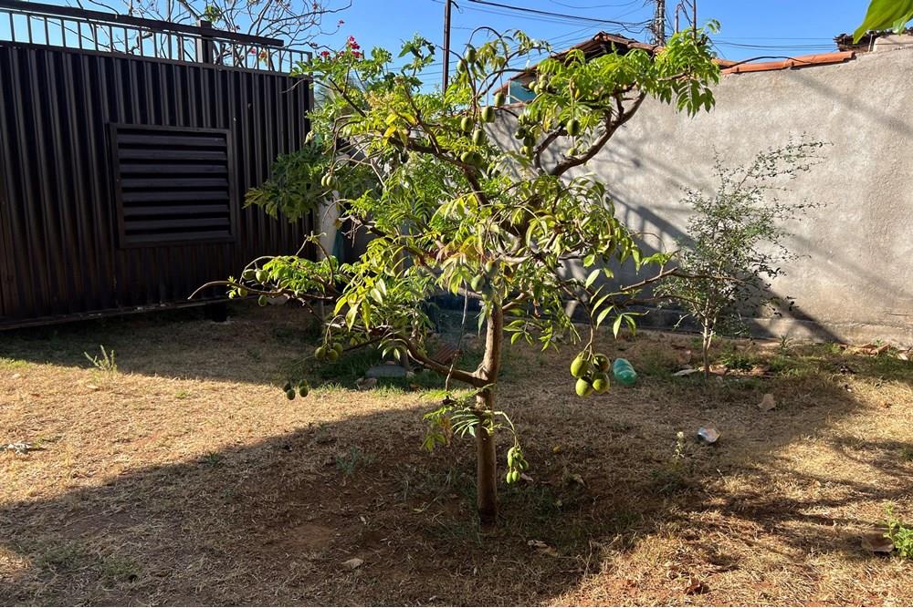 Casa - Venda - Vicente Pires , Distrito Federal - IMG_0720.JPG - 880401011-22