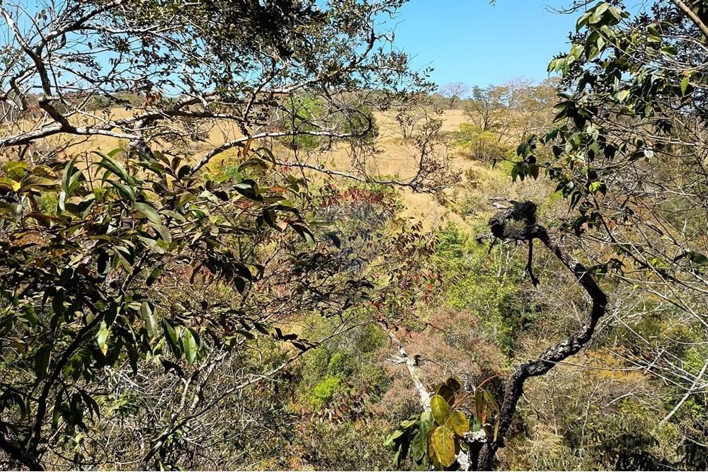 Chácara / Sítio / Fazenda - Venda - Luziânia , Goiás - Imagem do WhatsApp de 2025-06-26 à(s) 23.13.20_6fd612d6.jpg - 880231017-81