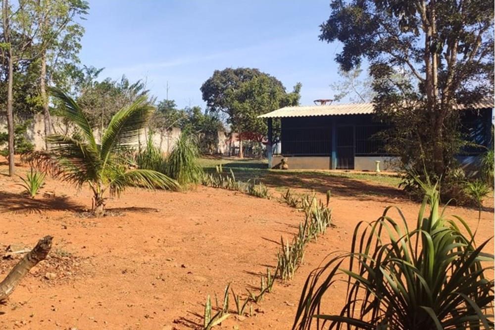 Chácara / Sítio / Fazenda - Venda - Luziânia , Goiás - WhatsApp Image 2025-09-12 at 08.55.45.jpeg - 880221062-7