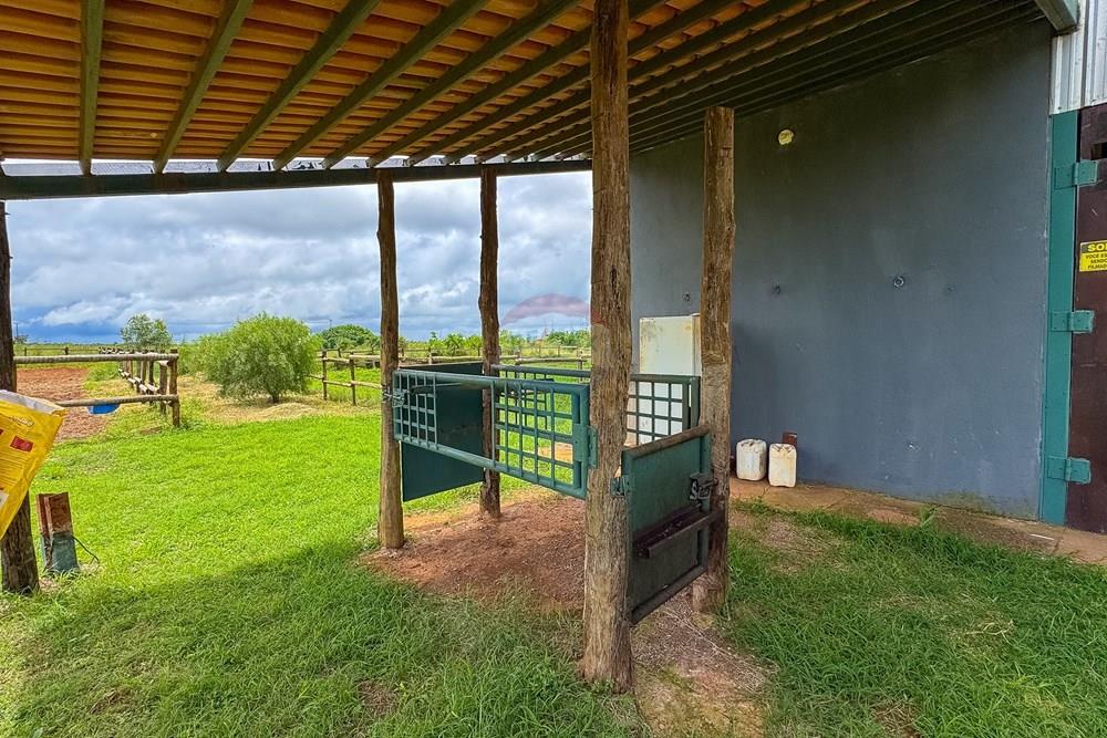 Chácara / Sítio / Fazenda - Venda - Sobradinho II , Distrito Federal - IMG_2691.jpg - 880111107-15