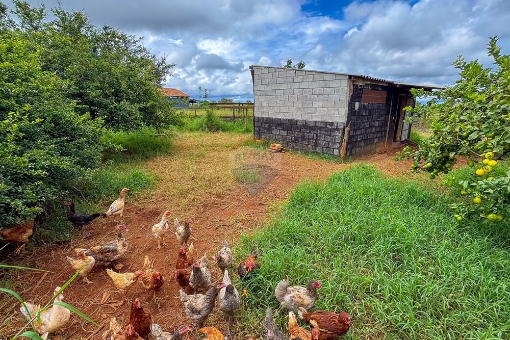 Chácara / Sítio / Fazenda - Venda - Sobradinho II , Distrito Federal - IMG_2705.jpg - 880111107-15