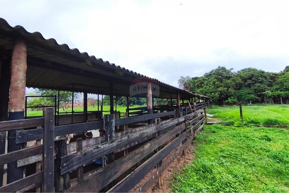 Chácara / Sítio / Fazenda - Venda - Formosa , Goiás - WhatsApp Image 2026-01-28 at 12.04.50 (4).jpeg - 880231017-86