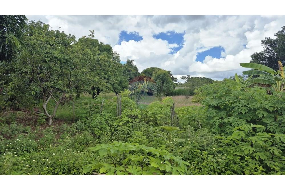 Chácara / Sítio / Fazenda - Venda - Sobradinho , Distrito Federal - WhatsApp Image 2026-03-23 at 15.10.28 (2).jpeg - 880431021-2