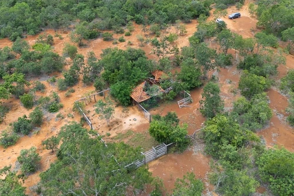 Chácara / Sítio / Fazenda - Venda - Buritis , Minas Gerais - DJI_20260201113941_0161_D.jpg - 880461004-155