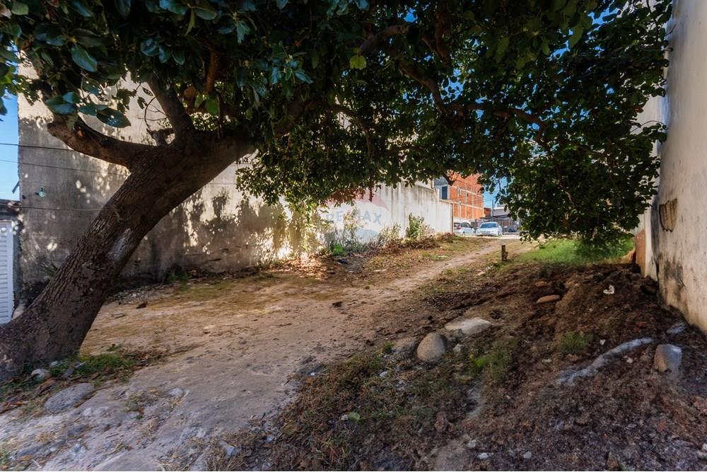 Terreno - Venda - Gama , Distrito Federal - DSC02472.jpg - 880111025-55