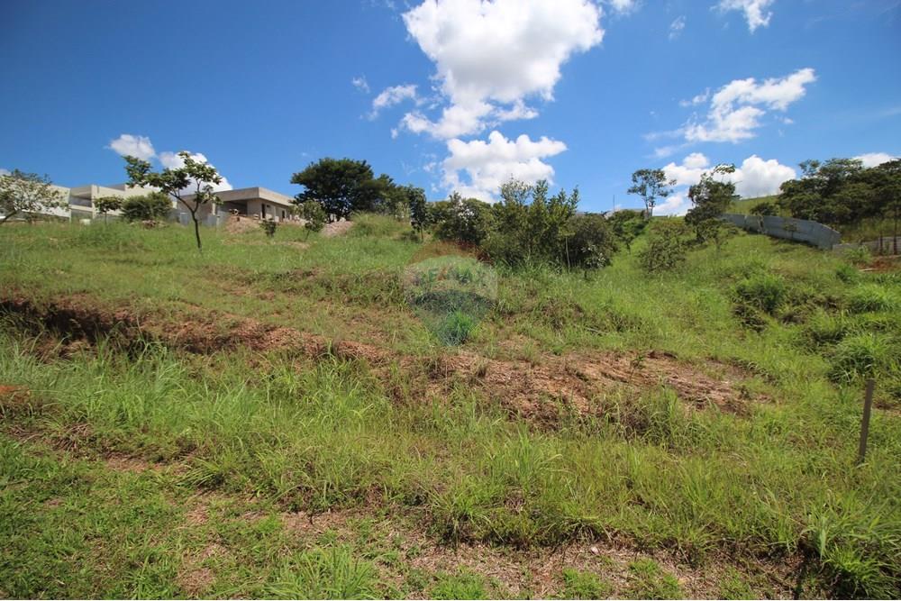 Terreno - Venda - Brasília , Distrito Federal - Interior do terreno 1.JPG - 880151004-198