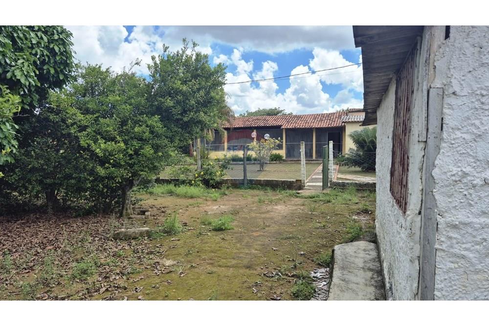 Chácara / Sítio / Fazenda - Venda - Sobradinho , Distrito Federal - WhatsApp Image 2026-03-23 at 15.10.17.jpeg - 880431021-2