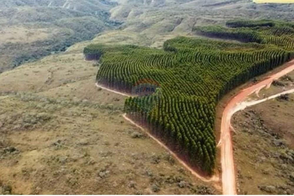 Chácara / Sítio / Fazenda - Venda - Água Fria de Goiás , Goiás - IMG-20250523-WA0247 (1).jpg - 880231017-84