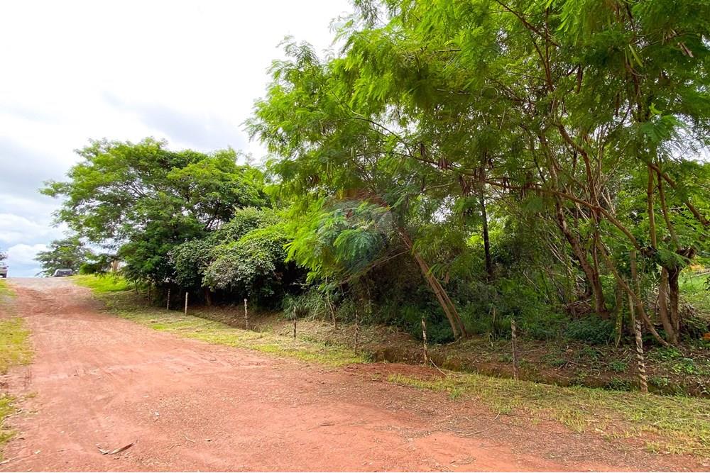 Terreno - Venda - Brasília , Distrito Federal - IMG_1601.jpg - 880221008-75