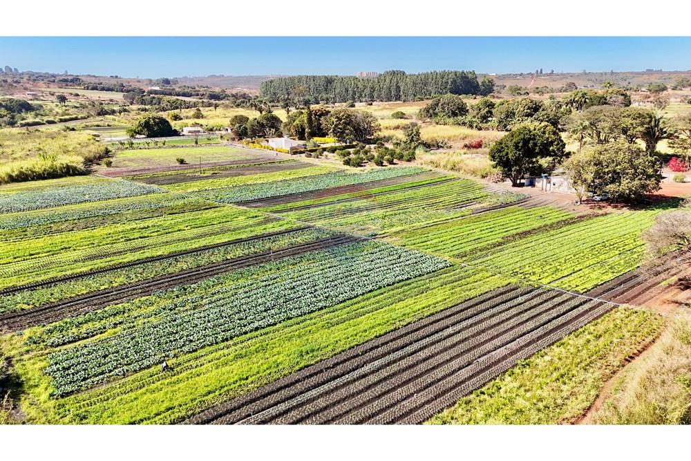 Chácara / Sítio / Fazenda - Venda - Ceilandia , Distrito Federal - DJI_20250707102339_0328_D.jpg - 880411001-271