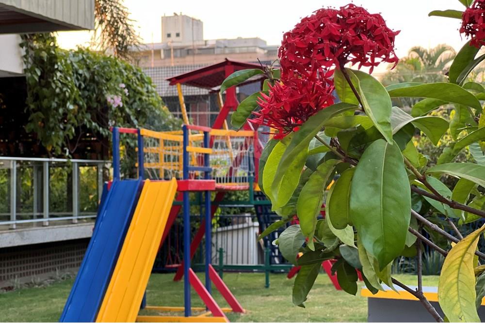 Apartamento - Alugar - Brasília , Distrito Federal - IMG_2396.JPG - 880351004-141