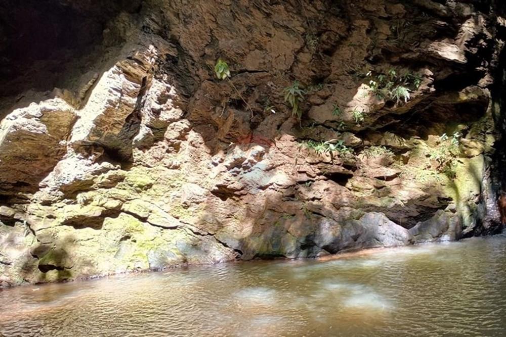 Chácara / Sítio / Fazenda - Venda - Luziânia , Goiás - Imagem do WhatsApp de 2025-06-26 à(s) 23.13.23_049b69bb.jpg - 880231017-81