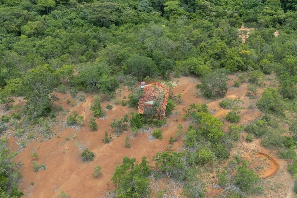 Chácara / Sítio / Fazenda - Venda - Buritis , Minas Gerais - DJI_20260201114058_0166_D.jpg - Layout aberto - 880461004-155