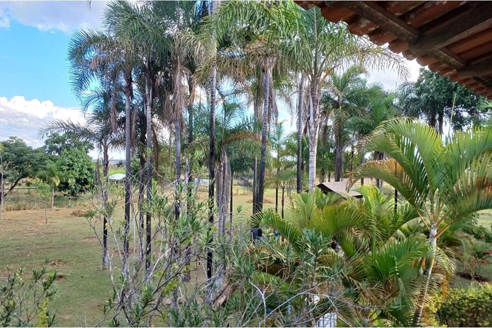 Chácara / Sítio / Fazenda - Venda - Sobradinho , Distrito Federal - WhatsApp Image 2025-05-06 at 09.44.54.jpeg - 880411017-27