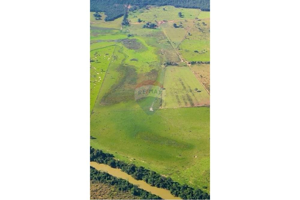 Chácara / Sítio / Fazenda - Venda - Unaí , Minas Gerais - WhatsApp Image 2025-02-26 at 08.09.39.jpeg - Jardim Externo - 880261133-87