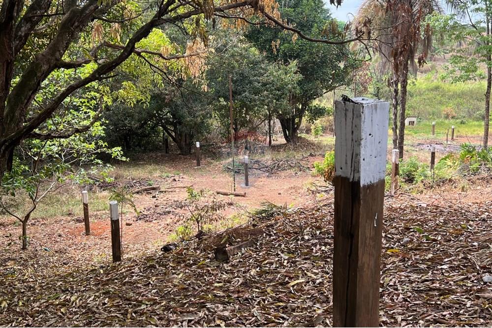 Terreno - Venda - Brasília , Distrito Federal - IMG-20251024-WA0710.jpg - 880351015-28