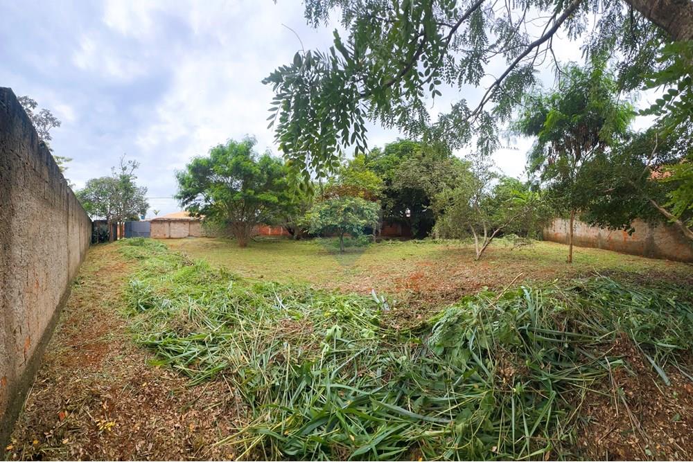 Terreno - Venda - Brasília , Distrito Federal - IMG_5987.jpg - 880451009-68