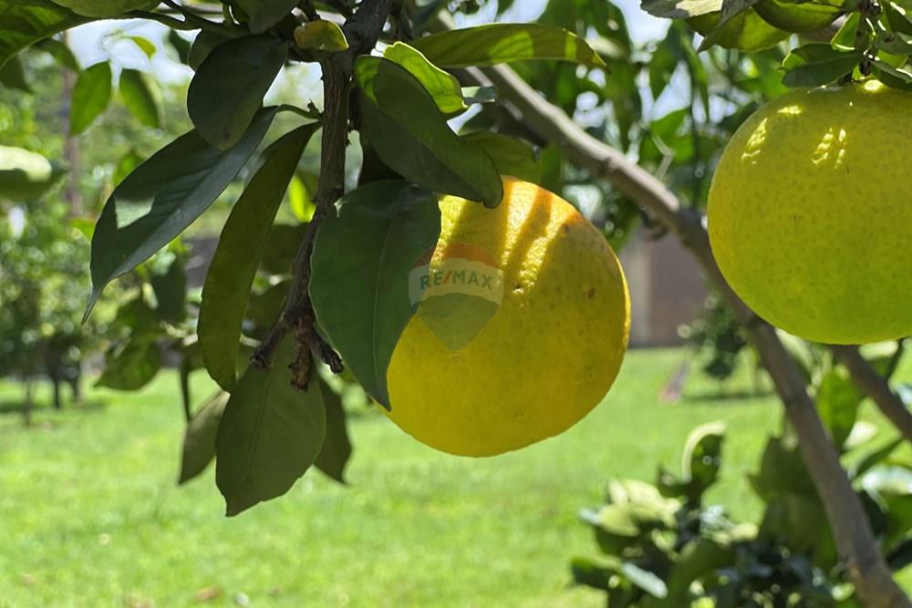 Casa - Venda - Taguatinga , Distrito Federal - IMG_3140.JPG - 880351011-84