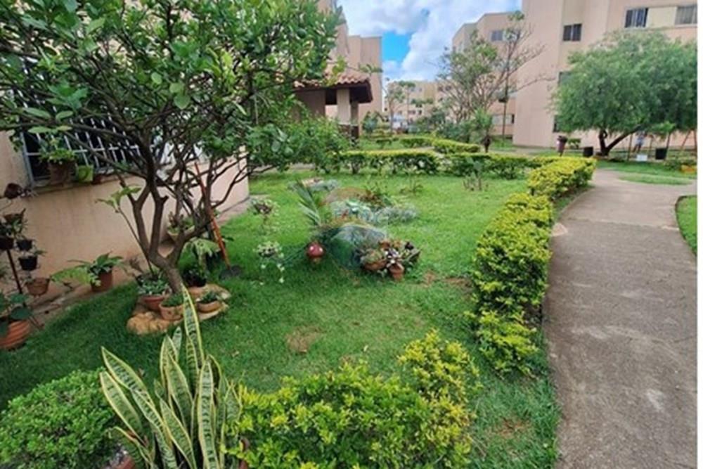 Apartamento - Venda - Riacho Fundo , Distrito Federal - WhatsApp Image 2026-03-14 at 19.27.24.jpeg - 880201050-48