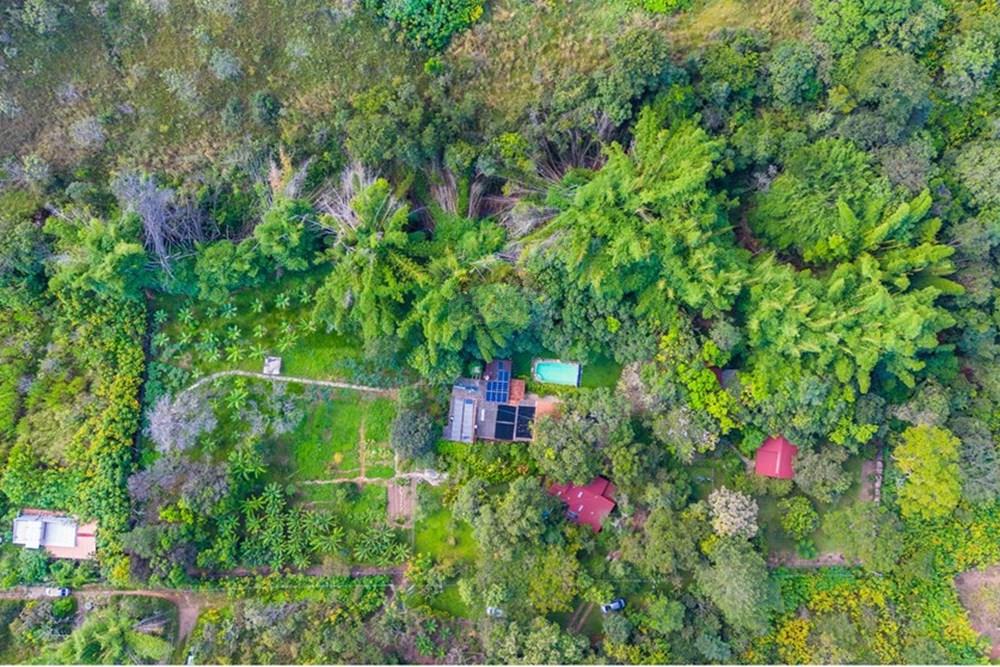 Chácara / Sítio / Fazenda - Venda - Brasília , Distrito Federal - DJI_0053-Aprimorado-NR.jpg - 880461009-32