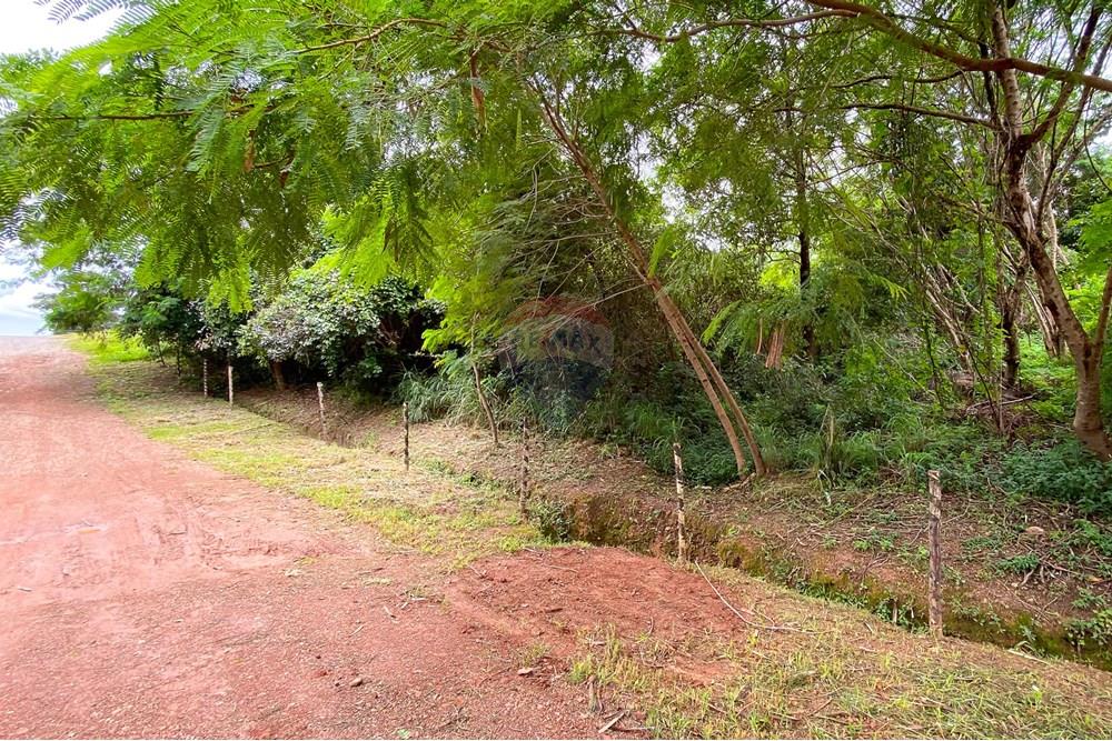 Terreno - Venda - Brasília , Distrito Federal - IMG_1598.jpg - 880221008-75