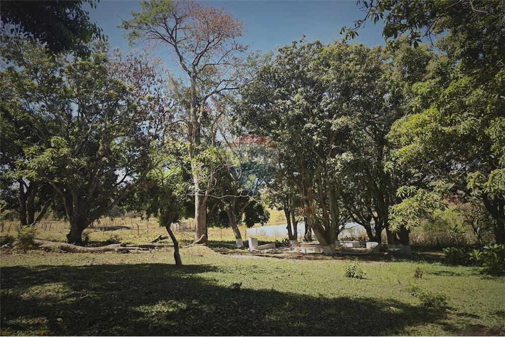 Chácara / Sítio / Fazenda - Venda - Gama , Distrito Federal - 35 - 880321005-55