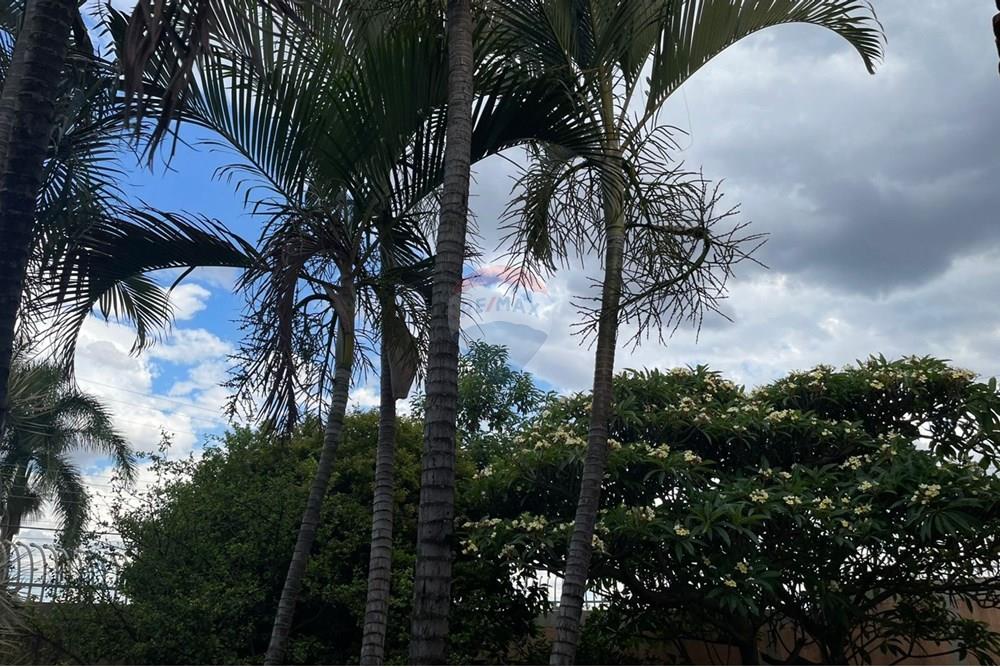 Casa - Venda - Taguatinga , Distrito Federal - WhatsApp Image 2025-11-06 at 3.09.02 PM (1).jpeg - 880441006-33