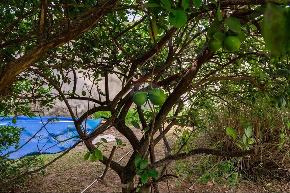 Casa - Venda - Vicente Pires , Distrito Federal - DSC_8638_1.jpg - 880251012-66