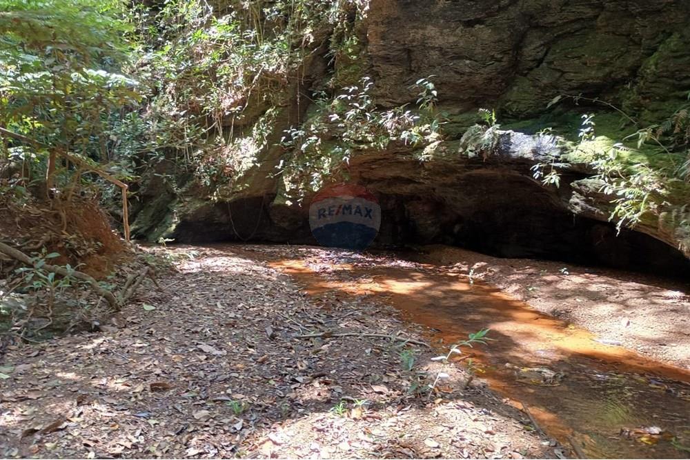 Chácara / Sítio / Fazenda - Venda - Luziânia , Goiás - Imagem do WhatsApp de 2025-06-26 à(s) 23.13.24_55e0fc18.jpg - 880231017-81