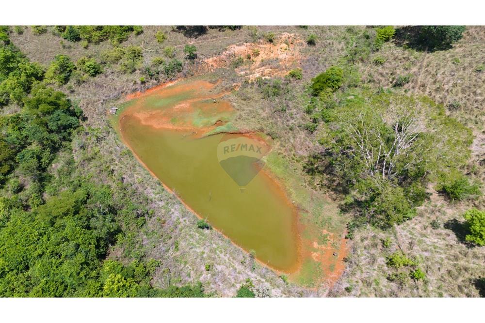 Chácara / Sítio / Fazenda - Venda - Cocalzinho de Goiás , Goiás - DJI_20251105101742_0058_D.jpg - 880341129-15