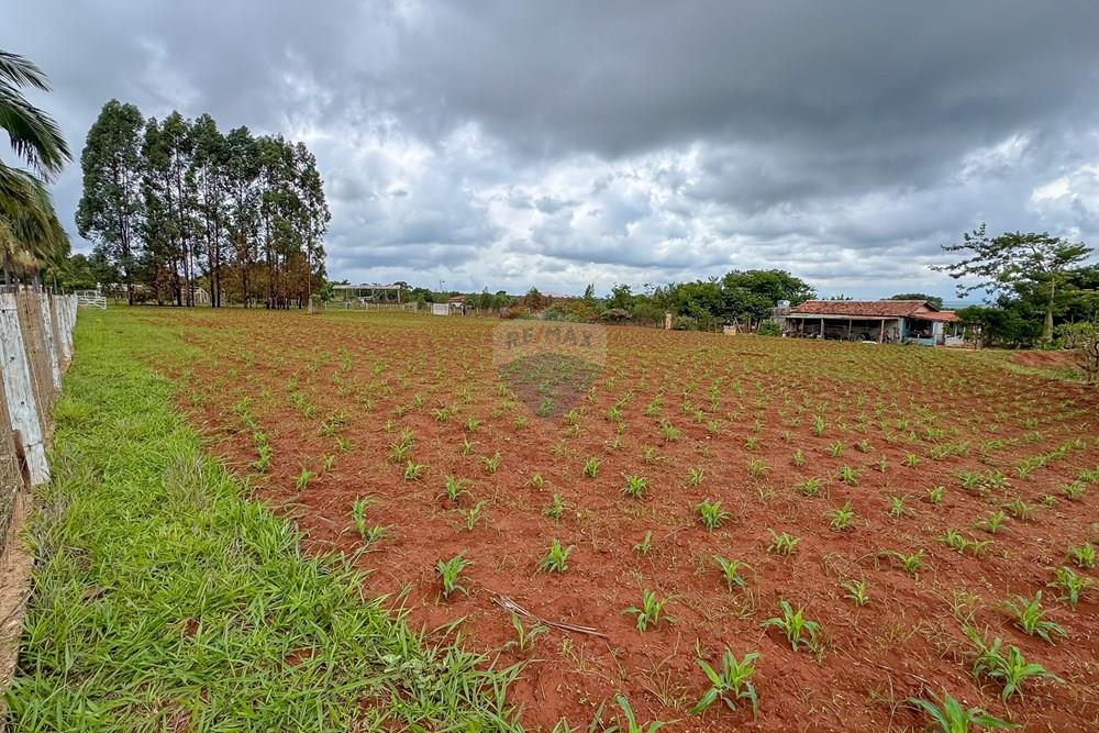Chácara / Sítio / Fazenda - Venda - Sobradinho , Distrito Federal - IMG_5615.jpg - 880111107-7