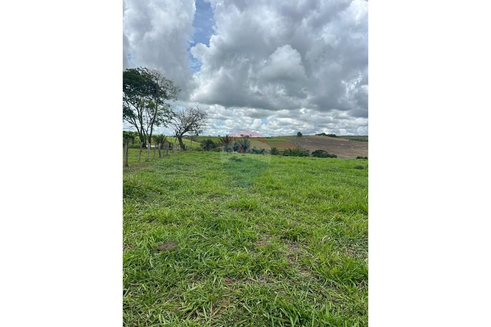 Chácara / Sítio / Fazenda - Venda - Cocalzinho de Goiás , Goiás - fazenda 9.jpeg - 880351098-3