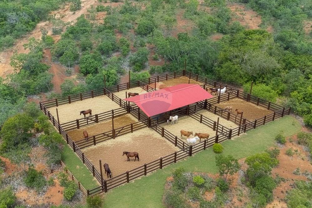 Chácara / Sítio / Fazenda - Venda - Buritis , Minas Gerais - imagem ilustrativa - curral.jpg - 880461004-155