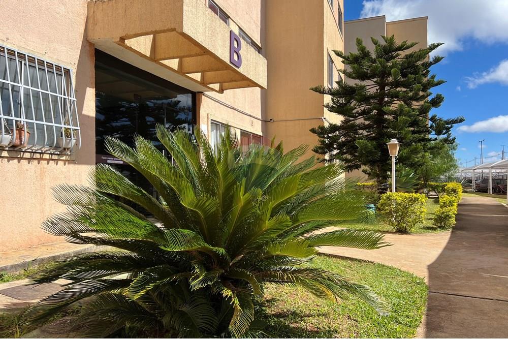 Apartamento - Venda - Riacho Fundo , Distrito Federal - IMG_4132.JPG - 880351053-17