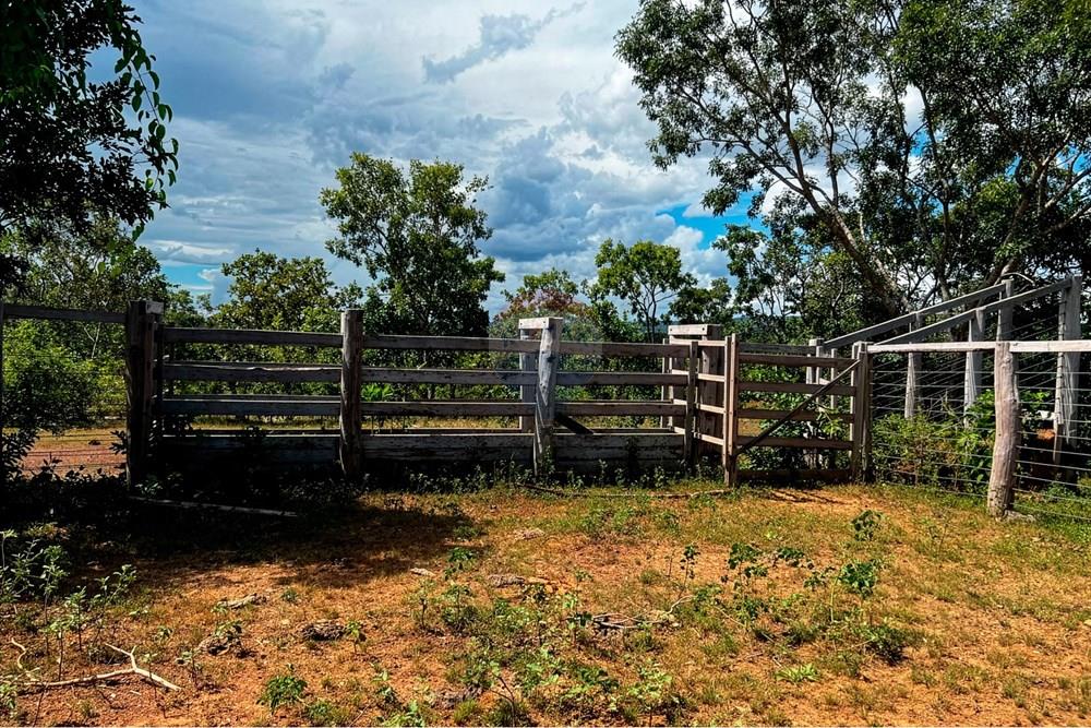 Chácara / Sítio / Fazenda - Venda - Buritis , Minas Gerais - Curral.jpg - Layout aberto - 880461004-155