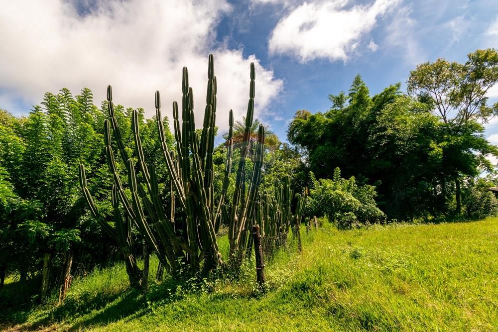 Chácara / Sítio / Fazenda - Venda - Planaltina , Distrito Federal - DSC_6632.jpg - 880341026-72