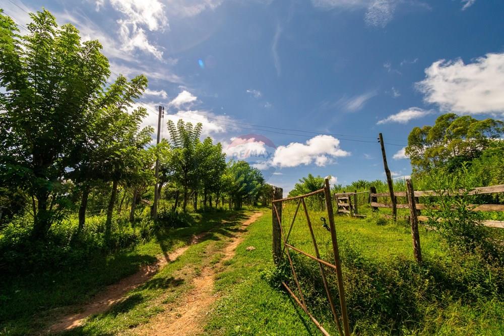 Chácara / Sítio / Fazenda - Venda - Planaltina , Distrito Federal - DSC_6626.jpg - 880341026-72