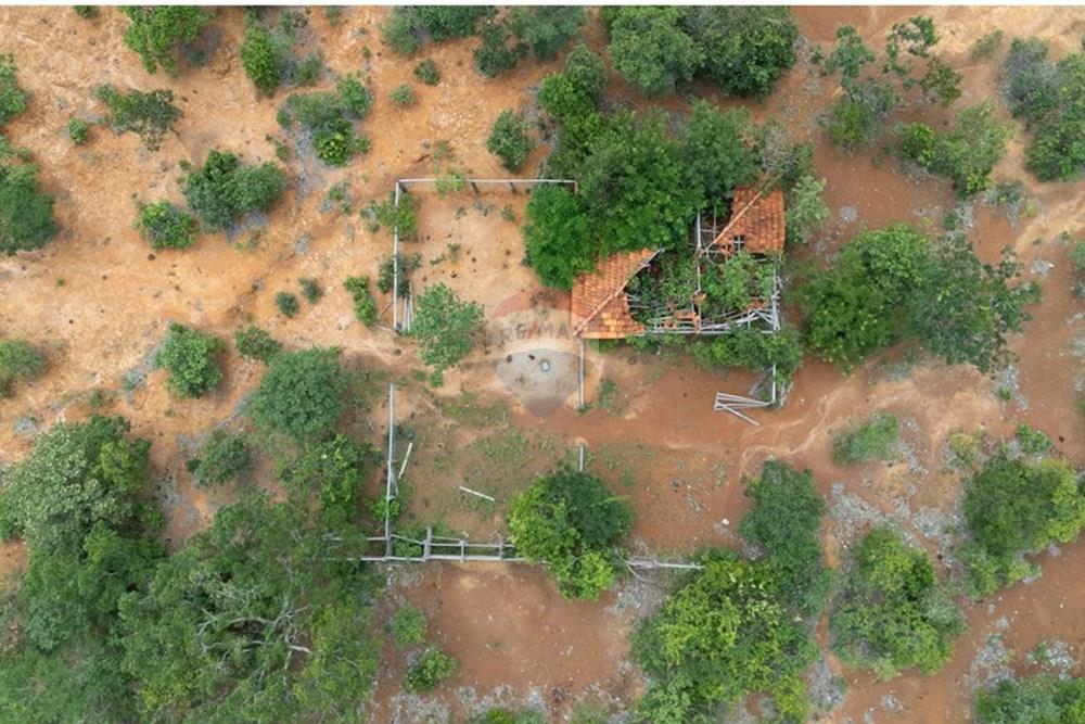 Chácara / Sítio / Fazenda - Venda - Buritis , Minas Gerais - DJI_20260201113958_0162_D.jpg - 880461004-155