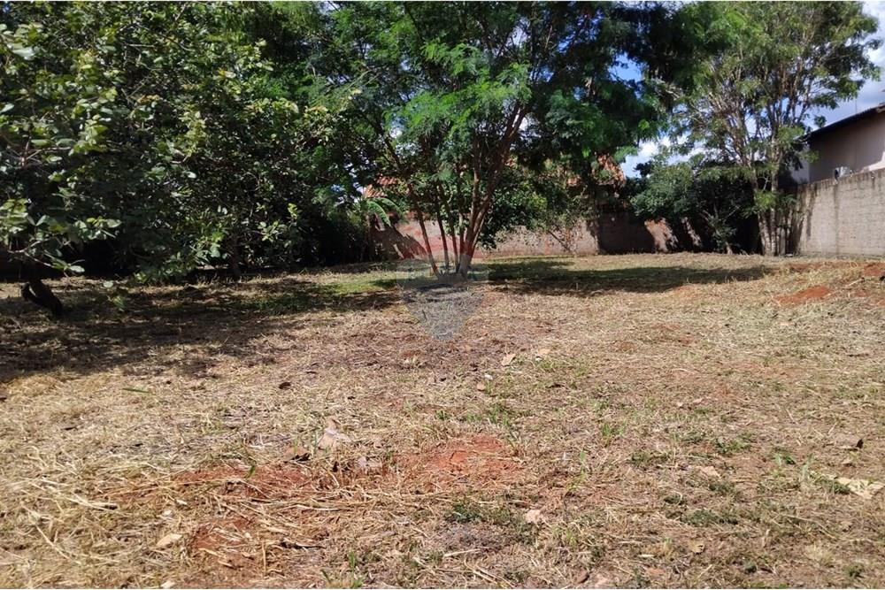 Terreno - Venda - Brasília , Distrito Federal - WhatsApp Image 2025-12-23 at 14.57.00 (5).jpeg - 880451009-68