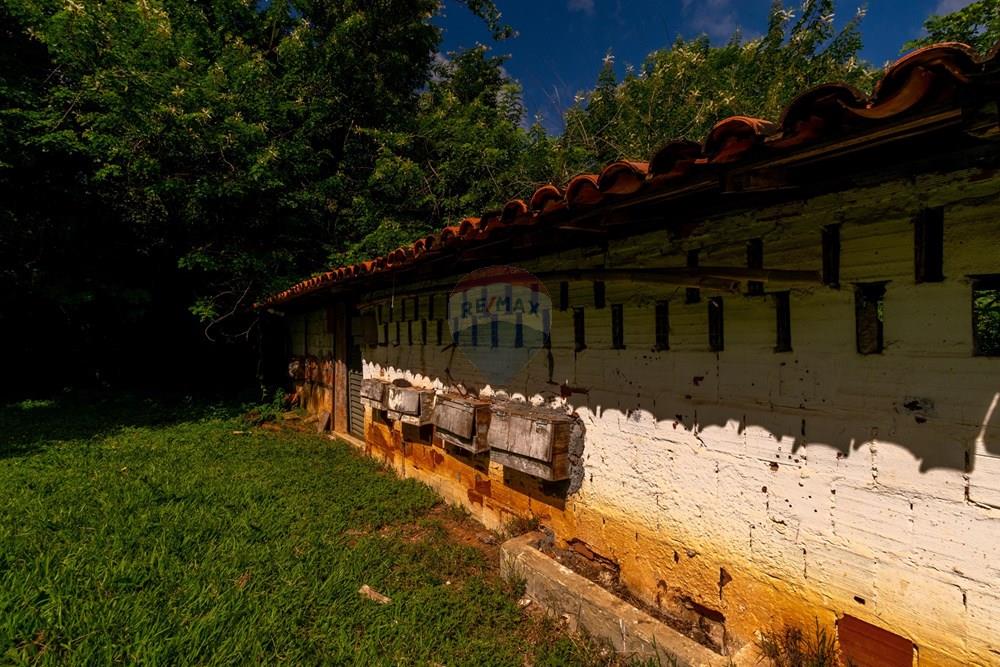 Chácara / Sítio / Fazenda - Venda - Planaltina , Distrito Federal - DSC_6635.jpg - 880341026-72