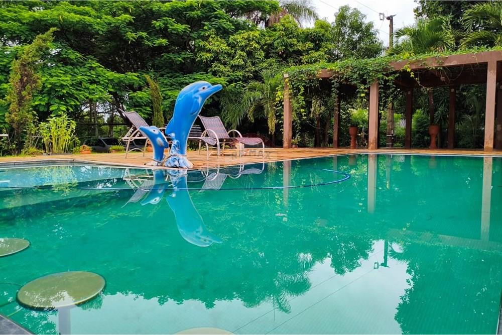 Chácara / Sítio / Fazenda - Venda - Formosa , Goiás - WhatsApp Image 2026-01-28 at 12.04.54 (4).jpeg - 880231017-86