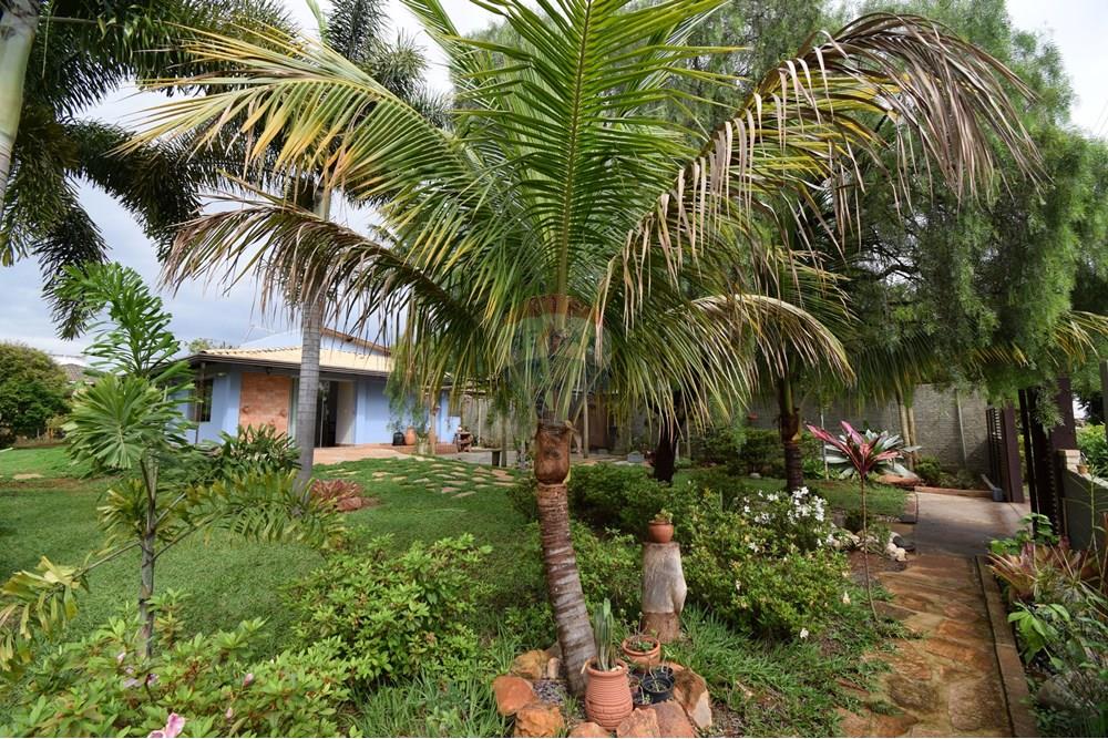 Casa - Alugar - Brasília , Distrito Federal - Jardim - árvores frutíferas - 15.JPG - 880151004-218