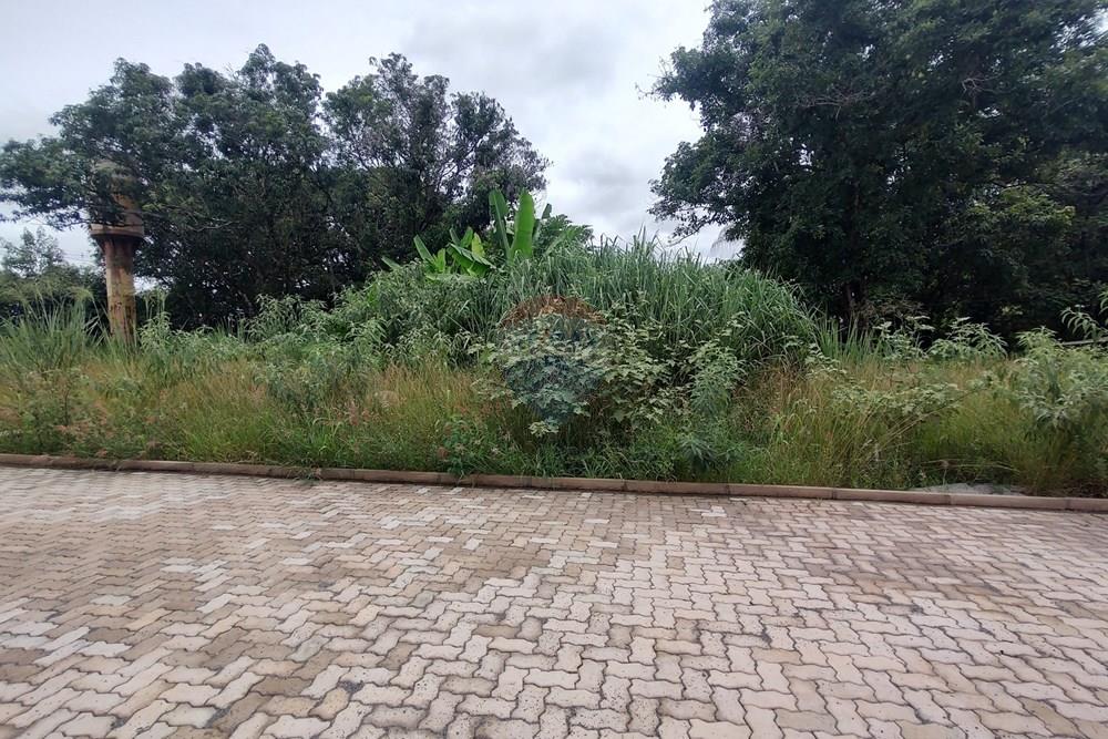 Terreno - Venda - Águas Claras , Distrito Federal - IMG_20260221_104254010_HDR.jpg - 880241014-29