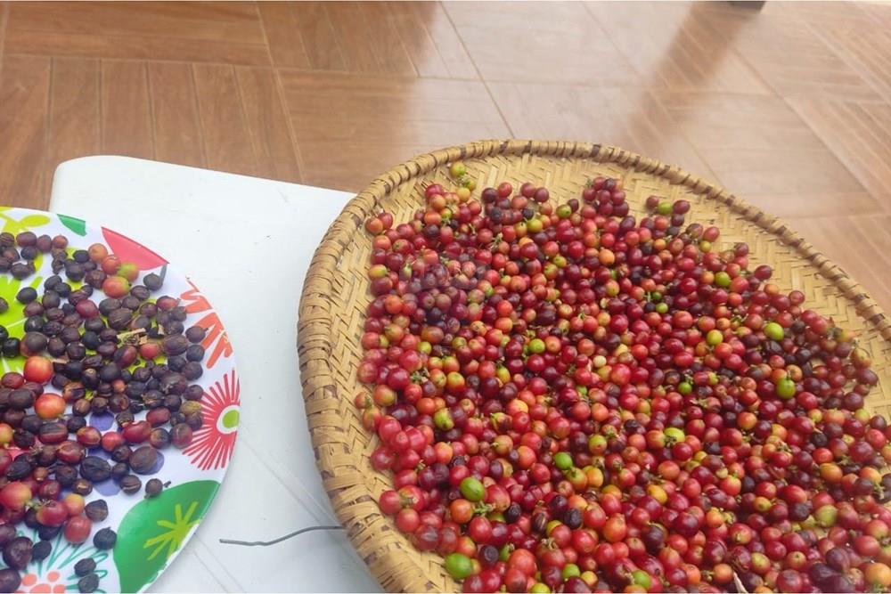 Chácara / Sítio / Fazenda - Venda - Formosa , Goiás - WhatsApp Image 2026-02-02 at 14.27.08.jpeg - 880231017-86