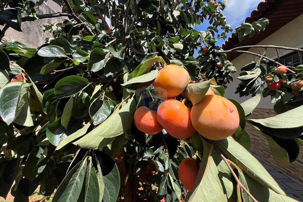 Casa - Venda - Taguatinga , Distrito Federal - IMG_3138.JPG - 880351011-84