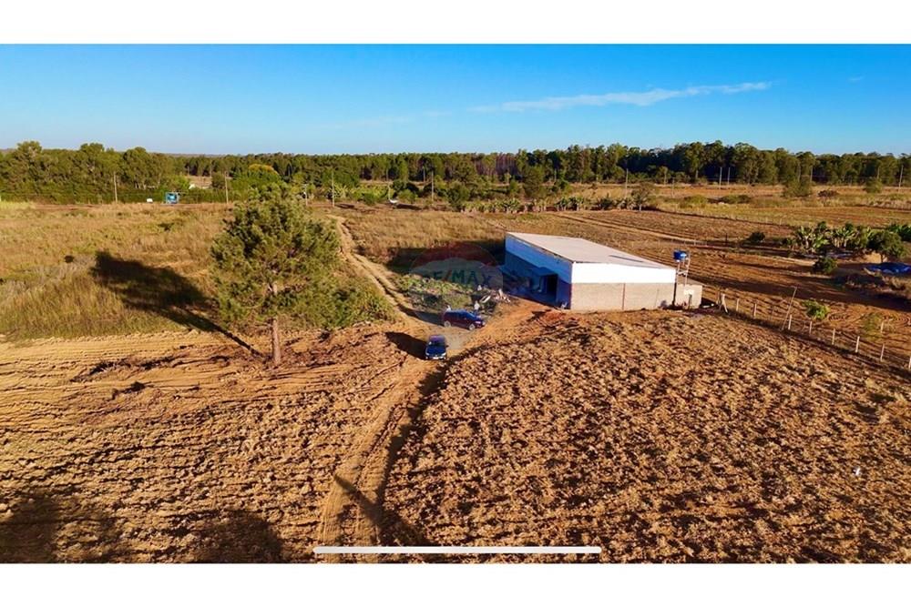 Galpão - Venda - Brazlandia , Distrito Federal - IMG_6994.jpeg - 880351001-197
